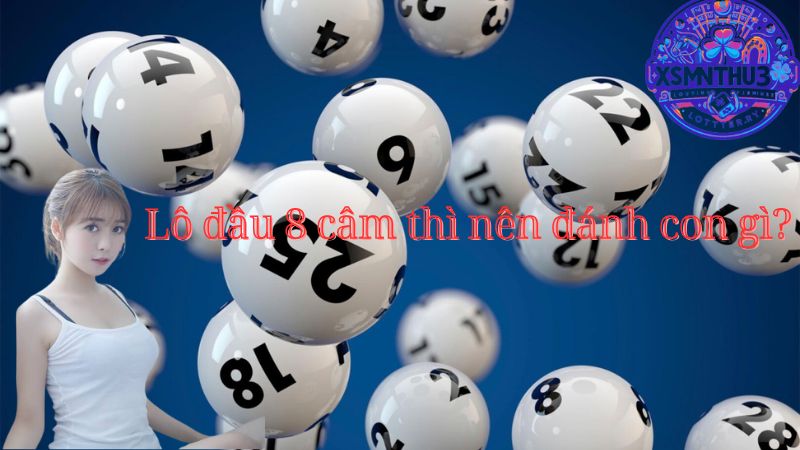 Đầu 8 câm đánh con gì? Đánh con nào vào hôm sau?